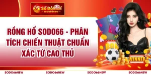 Rồng Hổ SODO66 - Phân Tích Chiến Thuật Chuẩn Xác Từ Cao Thủ