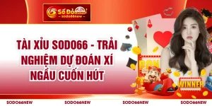 Tài Xỉu SODO66 - Trải Nghiệm Dự Đoán Xí Ngầu Cuốn Hút